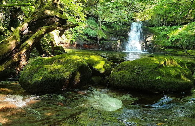 Molino de Yera - Foto 63