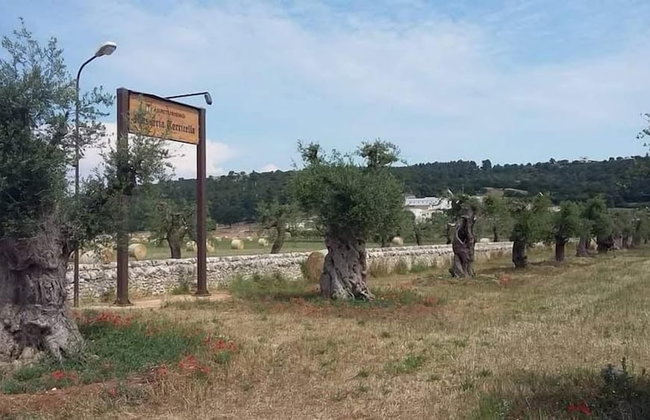 Masseria Torricella - Foto 122