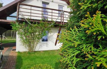 Nina Kopalino - Foto 4