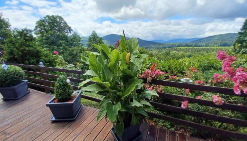 Ferienwohnung Panoramablick- 2 Südhanglage - Foto 2, Garden, Garden view