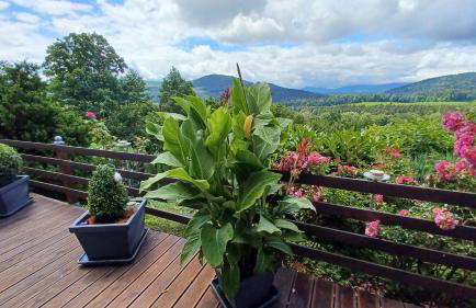 Ferienwohnung Panoramablick- 2 Südhanglage - Foto 2