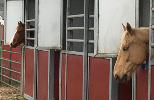 Pescadero Creek Inn - Foto 41