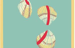 Noia Compostellae. Wifi - Foto 47