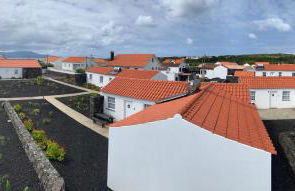 Casas do Verdelho - Photo 12