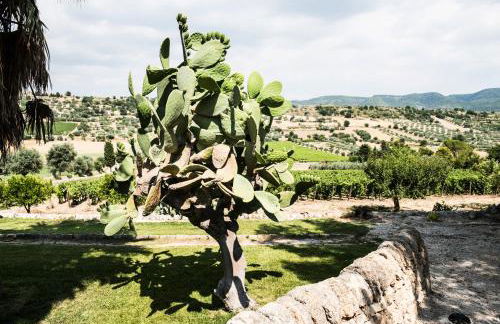 Locanda Gulfi - Foto 57