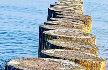 Apartament na wydmie - Perłowa Przystań - Foto 19