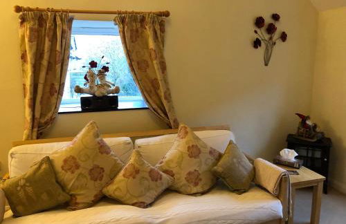 Bryn Melyn Farm Cottages - Foto 34