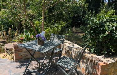 Le gite de l'ile du Buzet - Photo 12