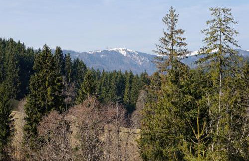 Alte Schmiede - Foto 7