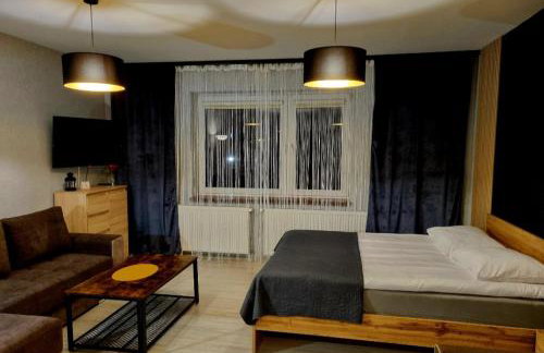 Willa "Aparthause" E-Apartamenty - Foto 17