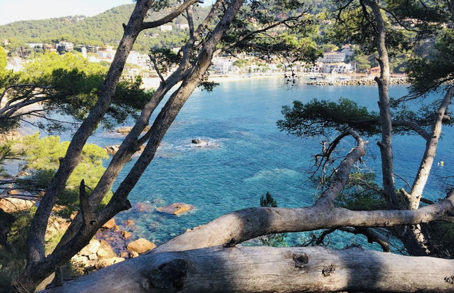 Ancora 03 in Llafranc - Foto 14