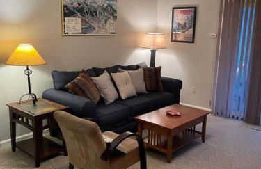 SKIING, HIKING, VILLAGE OF EVILLE MTN ESCAPE - Foto 25