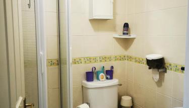 A private, cute, one bedroom self catering annexe - Foto 5, towels, Shower
