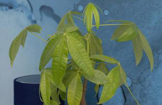 Blue Paradise Apartament - Basen - SPA- Sauna - Parking - Foto 26