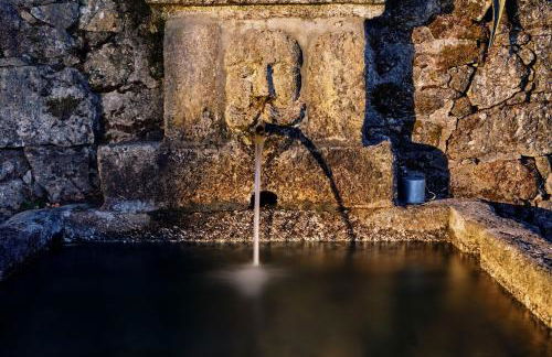 Quinta de Silharezes, Lda - Foto 14