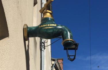 Sancerre Sunflower - Tournesol de Sancerre - Foto 9