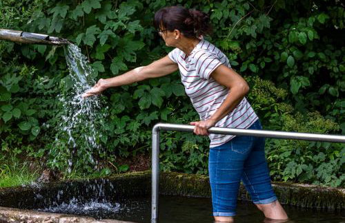 Ferienwohnungen Schwabenhof - Foto 38