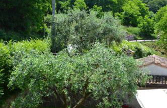 Colle Del Barbarossa - Foto 43