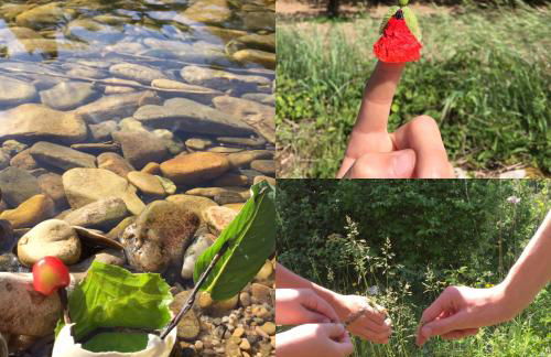 Gîte La Cerise Qui Rit - Photo 28