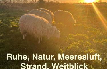 Marijanas Ferienhof 1, Urlaub mit viel Platz zwischen Dornumersiel und Bensersiel - Foto 1