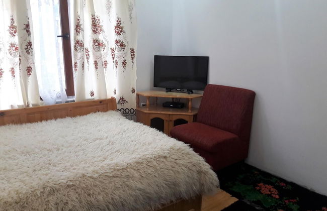 The Sharkov House - Photo 5