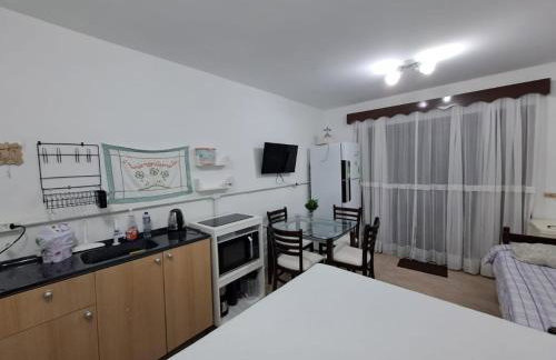 Brusque Comfort Studios - Photo 3