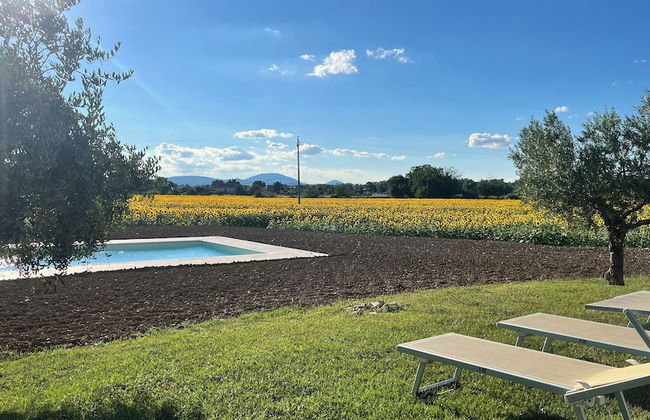 Assisium Agriturismo - Foto 21