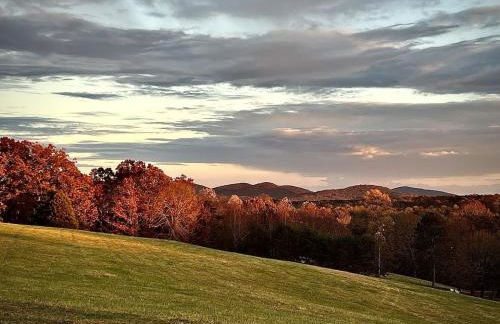 The Nest at Cardinal Hill Dahlonega - Foto 44