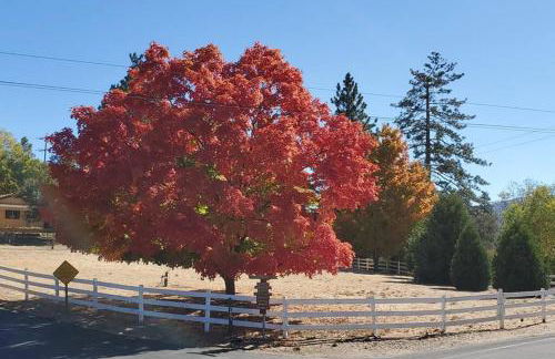 A LIVING CANVAS Amazing Lake View Custom Home - Foto 48