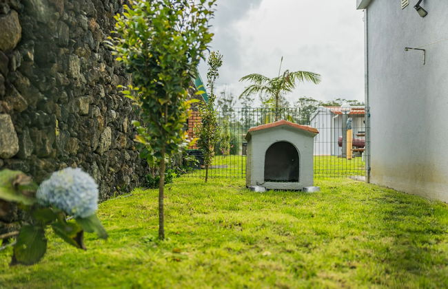 Parrots Village - Foto 51