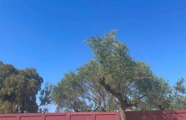 Nissi Collection Rooms - Foto 53