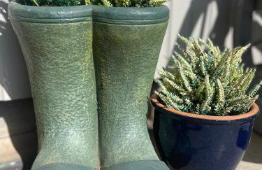 Kinneuchar Cottage - by Elie, Dog Friendly. - Foto 16