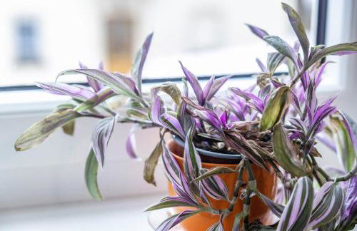 Residenz Schlossturm - Foto 8