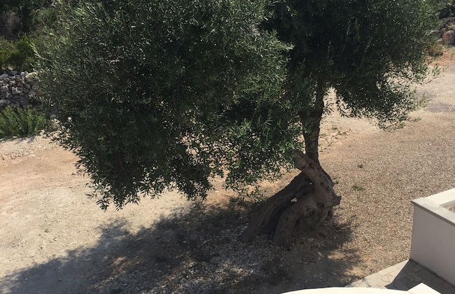 Villa Vanissia - Foto 17