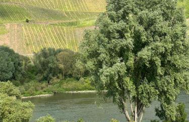 Ferienwohnung FM Moselle - Foto 6