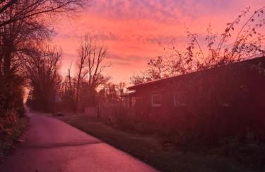 Naturcamp am See - Foto 18