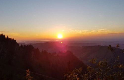 FeWo Allgäuliebe mit WLAN Oberstaufen Steibis - Foto 20