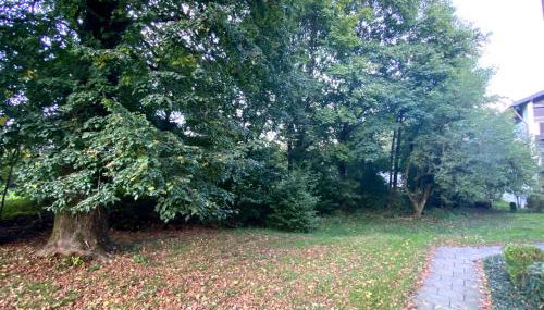 Ferienwohnung Brünnstein - Alpenmagie Suites - Foto 4, Garden, Garden view