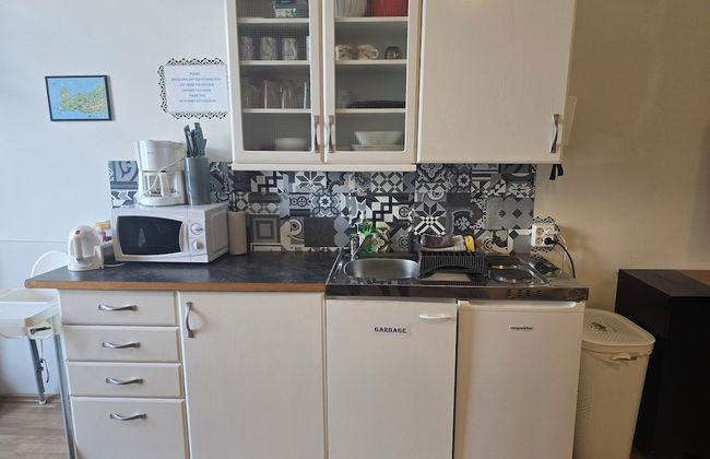 Reykjanes Guesthouse - Foto 25