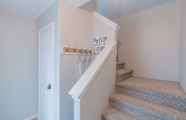 The Blue Flamingo - Foto 17