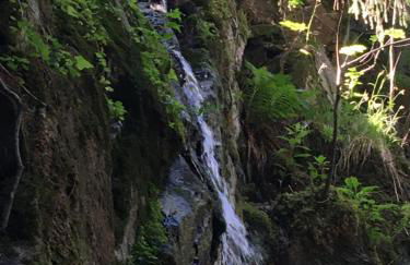 Le petit Kichon - Foto 26