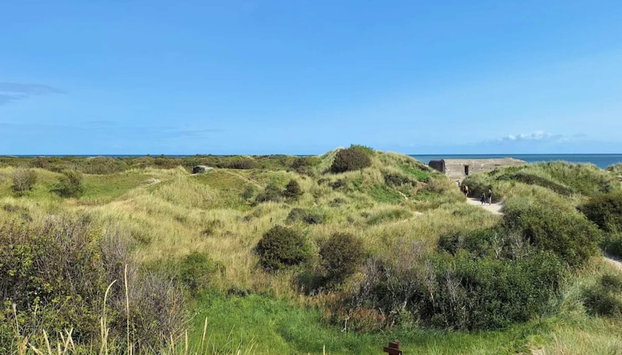 4 Star Holiday Home in Skagen - Foto 5