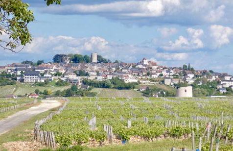 LE LOGIS ST PERE - Foto 26