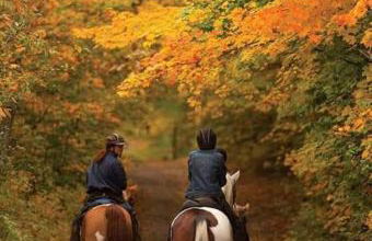 Cozy cottage in the heart of pocono - Foto 76