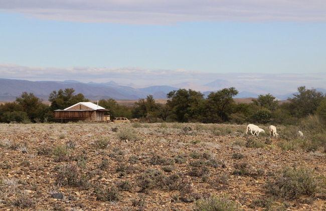 Wolvekraal Guest Farm - Foto 34