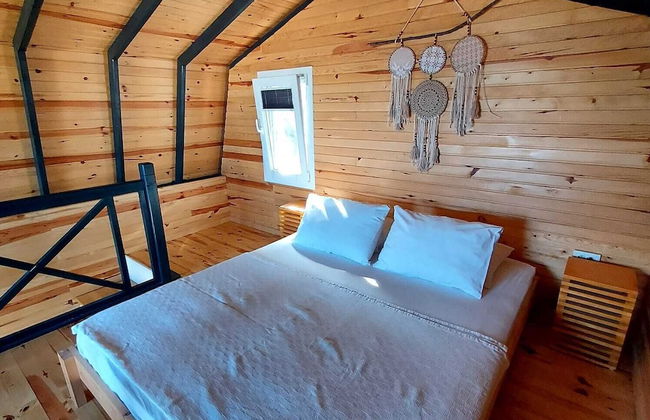 Sole Foca ( Ages 12+ ) - Foto 4