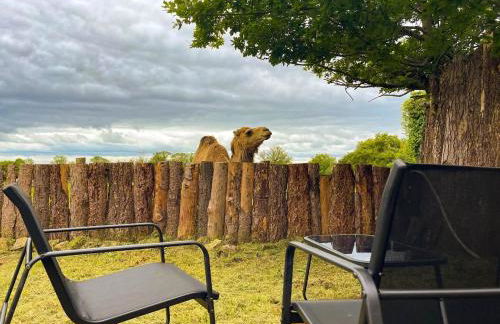 Parc animalier des Clautres - Maison Roulottes Tente - Photo 7