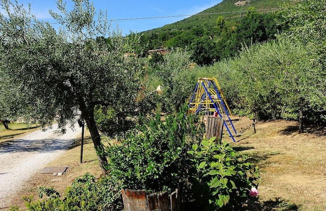 Agriturismo Colle degli Olivi - Foto 31