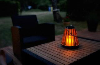 Forest Mood - Foto 58