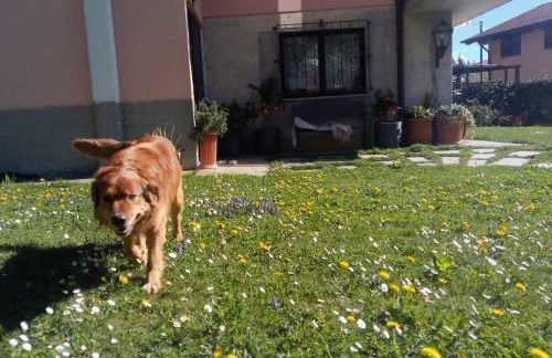 Art Music House Lake Como Beach 5 minutes walk - Foto 14